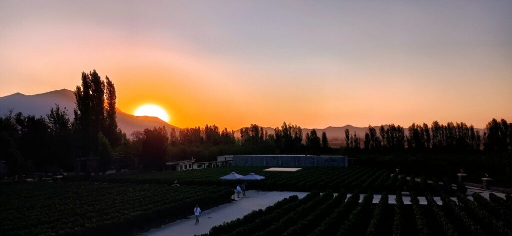 pôr dos sol na vinícola Alyan
