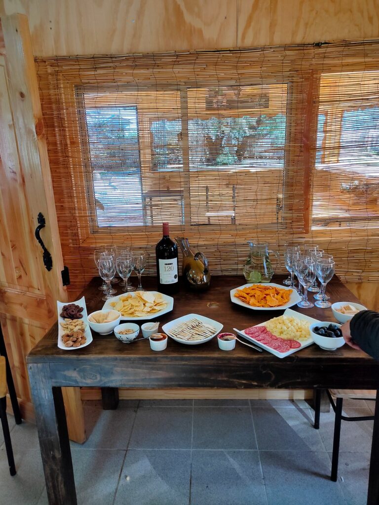 Piquenique em Cajon del Maipo