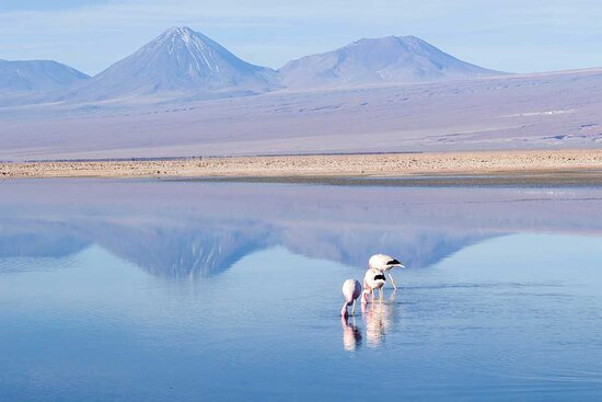 laguna chaxa, mirante em Piedras Rojas