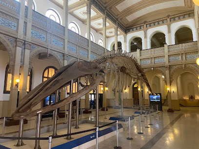 Museu Nacional de Historia Natural em Santiago