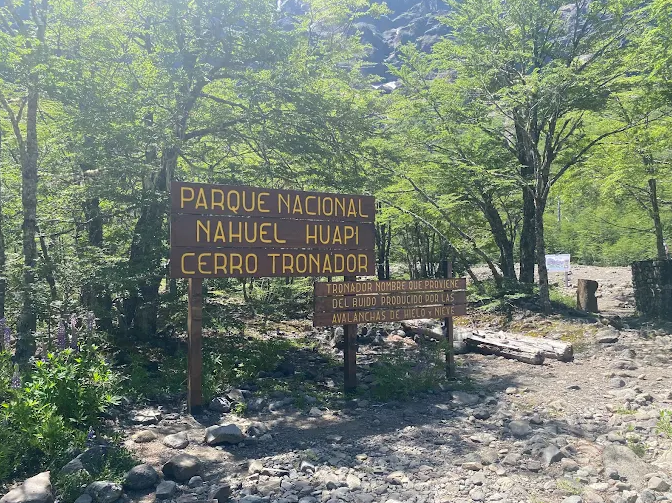 Cerro tronador e ventisquero negro