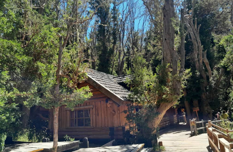 Ilha Vitória e Bosque Arrayanes: passeio de barco em Bariloche ...