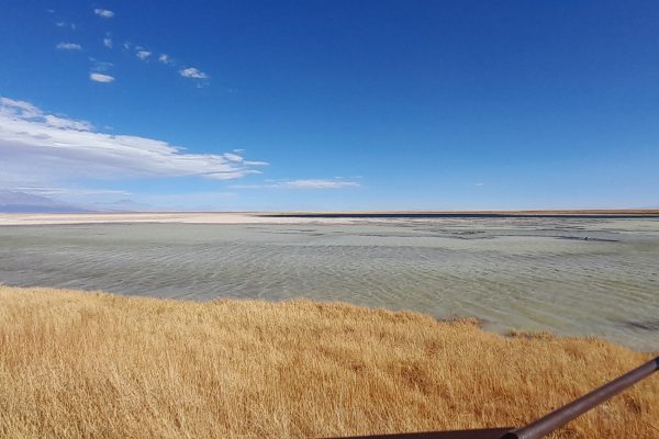 laguna cejar mirante