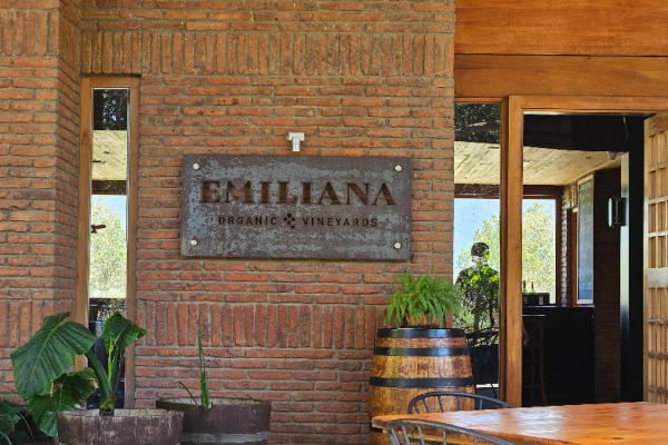 Emiliana entrada