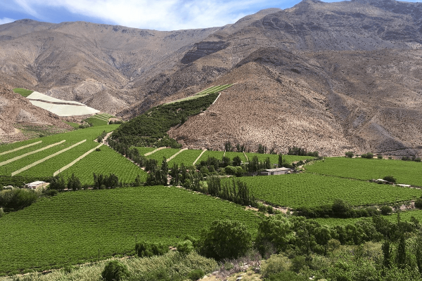Valle del elqui