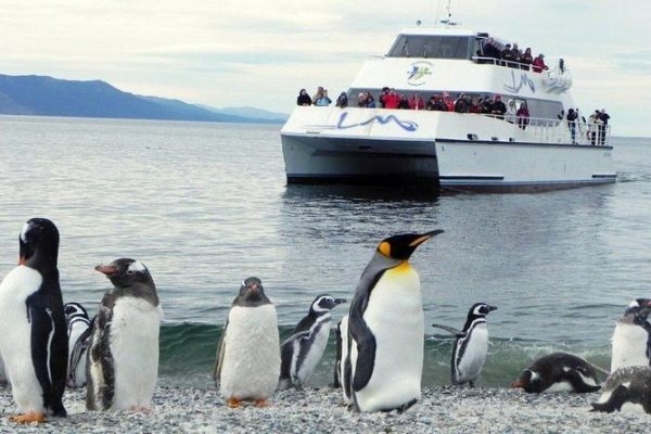 navegacion pinguinera